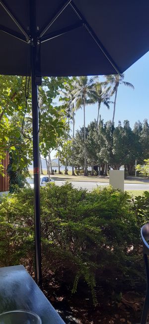 View from my terrace table at Guyala Cafe in Cairns