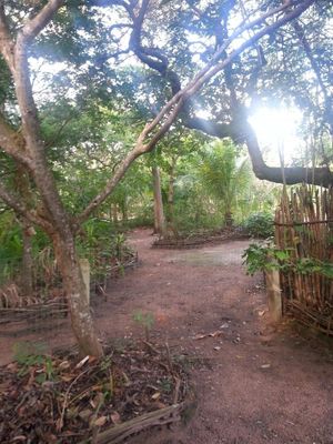 Beautiful tranquil setting.  Gorgeous woodsy location. at Magias da Terra in Natal