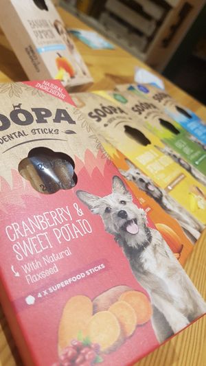 Everyone is welcome, little one included ! at La Dame au Cerf in Nice