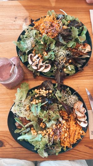 Amazing food and friendly staff!  at La Dame au Cerf in Nice