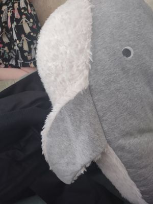  at La Dame au Cerf in Nice