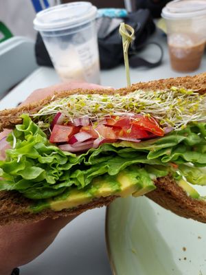 Veggie sandwich at El Avocado in La Jolla