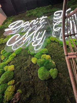 The moss wall #Veganuary at El Avocado in La Jolla