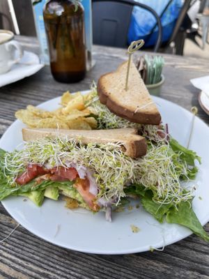   at El Avocado in La Jolla