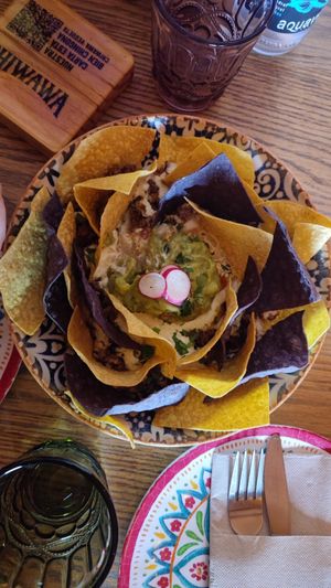  at Chiwawa Cantina in Gran Canaria