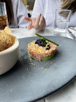 zalmon tar tar  at Willow Vegan Bistro in New York City