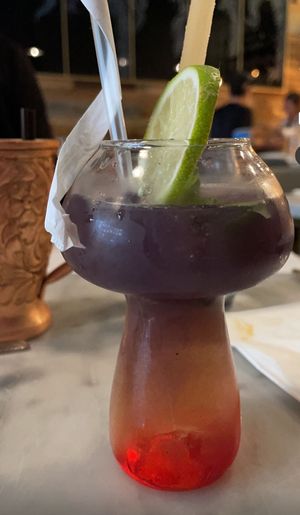   at Willow Vegan Bistro in New York City