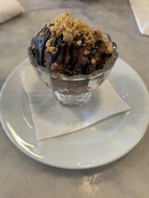 Chocolate ice cream (best I’ve had)  at Willow Vegan Bistro in New York City
