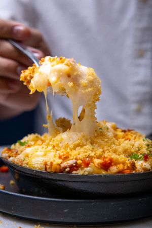  at Willow Vegan Bistro in New York City