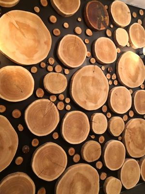 interior feature wall at Taco Rio in Harrison Hot Springs