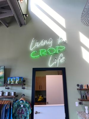   at Crop Juice in Sarasota