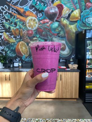   at Crop Juice in Sarasota