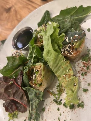 Handmade spring rolls 🤍  at El Chante Verde in La Fortuna