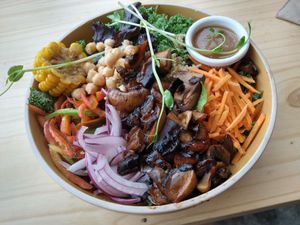 Mushroom bowl-NOT recommended  at El Chante Verde in La Fortuna