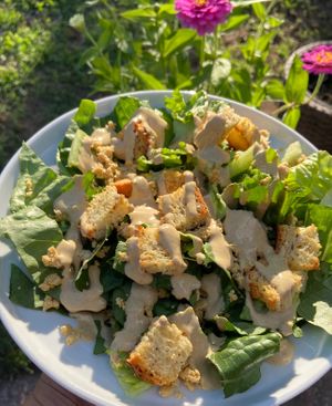 Vegan Caesar— crunchy romaine, gf croutons, smoky tempeh, cashew Parmesan, and creamy house Caesar dressing.  at Spacecat V-stro in Ferndale