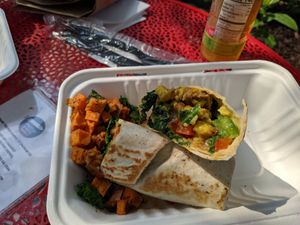 Spacecat Purrito at Spacecat V-stro in Ferndale