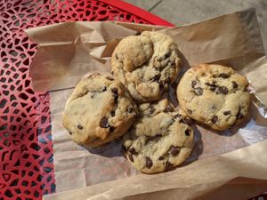 Chocolate chip cookies at Spacecat V-stro in Ferndale