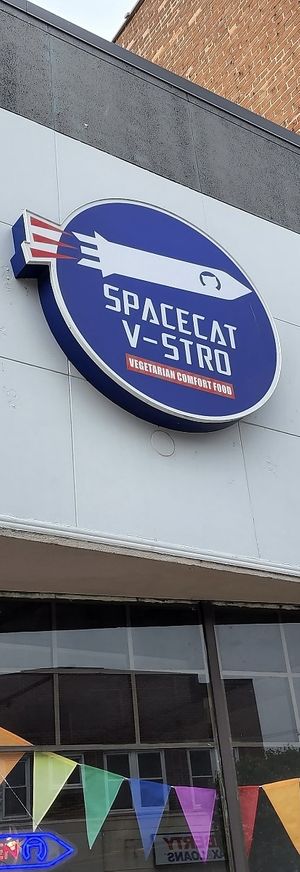   at Spacecat V-stro in Ferndale