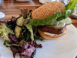 Spacecat chikn sandwich with cold salad at Spacecat V-stro in Ferndale