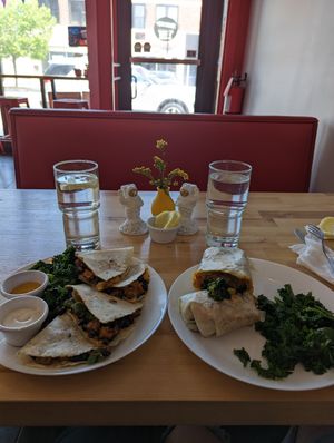  at Spacecat V-stro in Ferndale