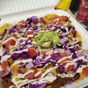  at Spacecat V-stro in Ferndale