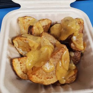  at Spacecat V-stro in Ferndale