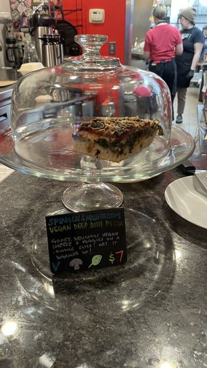   at Spacecat V-stro in Ferndale