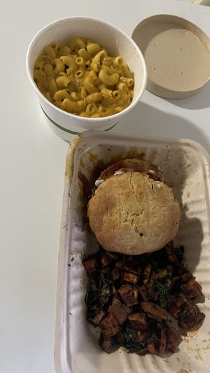 Vegan Mac and cheese   at Spacecat V-stro in Ferndale