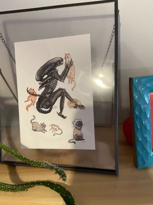   at Spacecat V-stro in Ferndale