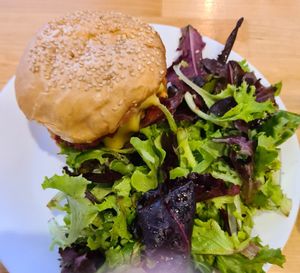 Chkn Parm sandwich at Spacecat V-stro in Ferndale