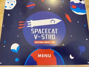 Excellent coffee that I was too busy drinking to photograph .  at Spacecat V-stro in Ferndale