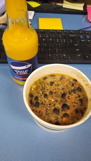 Quinoa soup at Spacecat V-stro in Ferndale