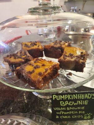  at Spacecat V-stro in Ferndale