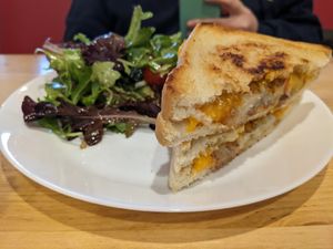 Cheddar shredder (special) at Spacecat V-stro in Ferndale