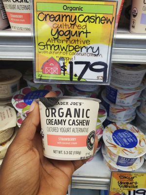  at Trader Joe's in Ardmore