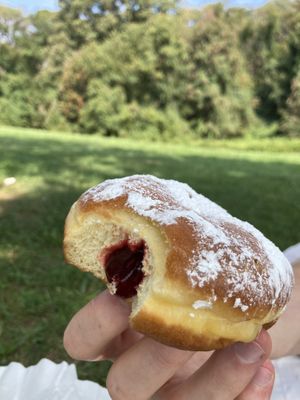 Jelly  at Donut Run in Washington
