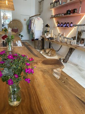   at The Conscious Kitchen - Kloof St in Cape Town