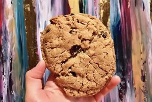   at The Zero Waste Company in Tunbridge Wells