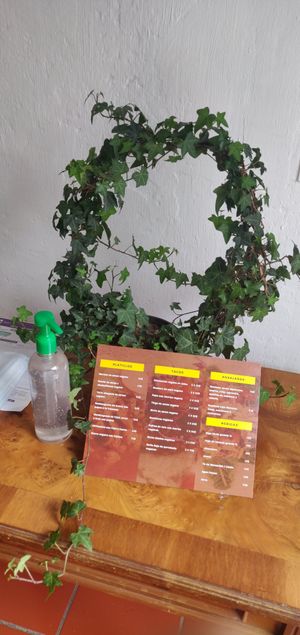 Following healthy practices at El Sabor de Anita - Maybe closed in Guadalajara