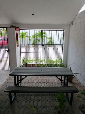  at Vegan Style in Cancun