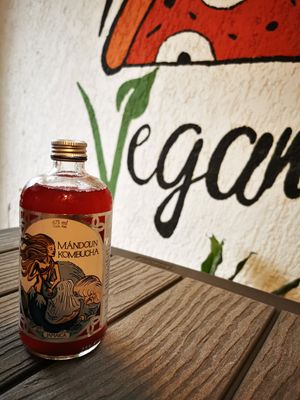  at Vegan Style in Cancun