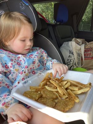 Vegan nuggets and fries for our little nugget  at Screaming Vegan in Roanoke