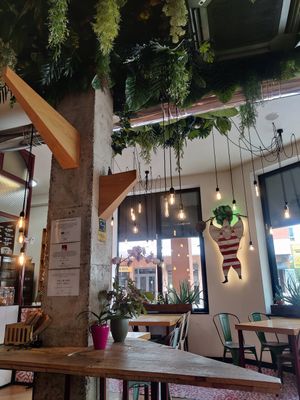 Interior at Mr Kale in Gran Canaria