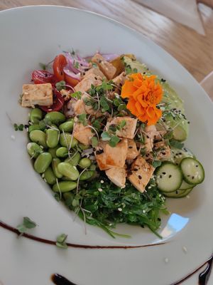  at Mr Kale in Gran Canaria