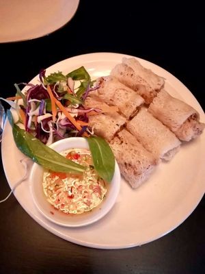 Vegan/GF crispy spring rolls at Mama San in Nelson