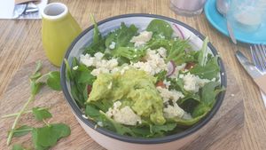 Nourish bowl at Fox & Giraffe in Bendigo
