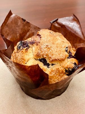 Lemon Blueberry Muffin from the pastry case at Rattlesnake Cafe in Broken Arrow