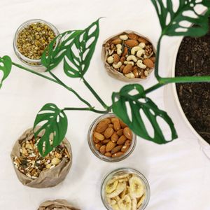 Waste free shopping. BYO jars and containers to refill  at Pantree in Narellan