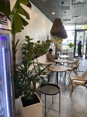 Inside  at Purple Ocean Superfood Bar in Orlando