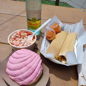  at Succulent Vegan Tacos in Nashville